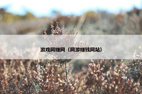 游戏网赚网（网游赚钱网站）