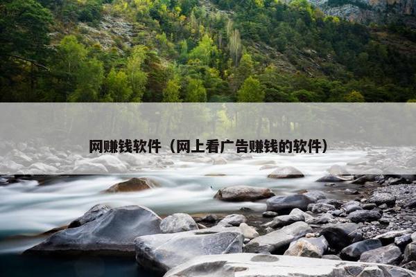 网赚钱软件（网上看广告赚钱的软件）