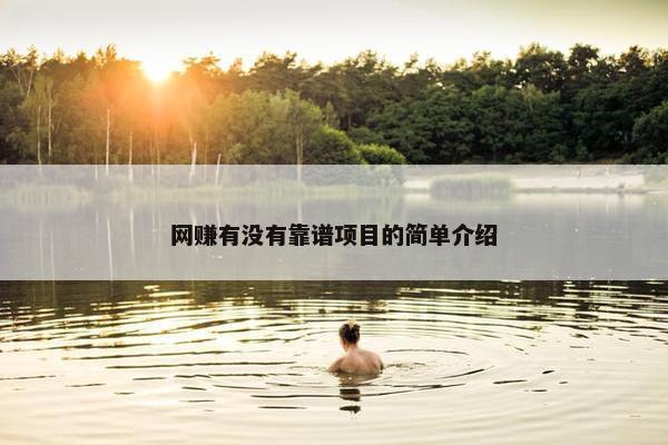 网赚有没有靠谱项目的简单介绍