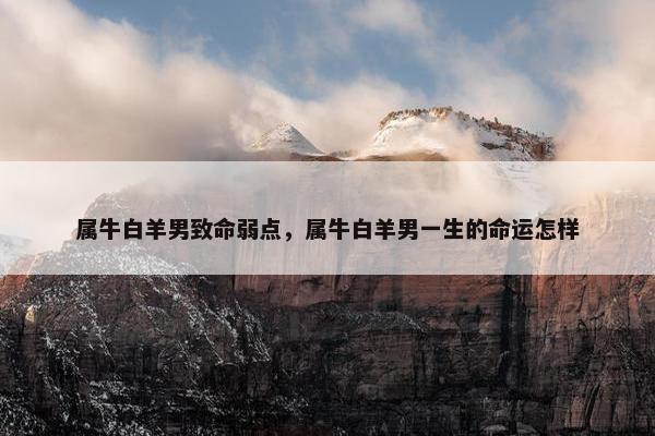 属牛白羊男致命弱点，属牛白羊男一生的命运怎样