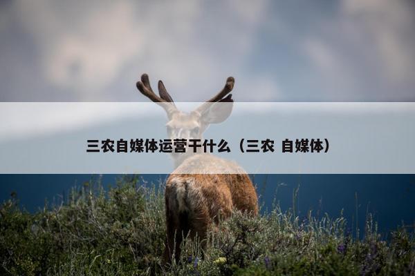 三农自媒体运营干什么（三农 自媒体）