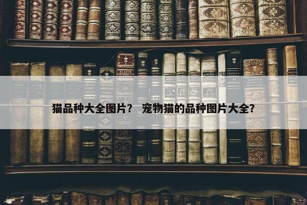 猫品种大全图片？ 宠物猫的品种图片大全？