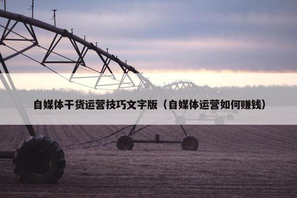 自媒体干货运营技巧文字版（自媒体运营如何赚钱）