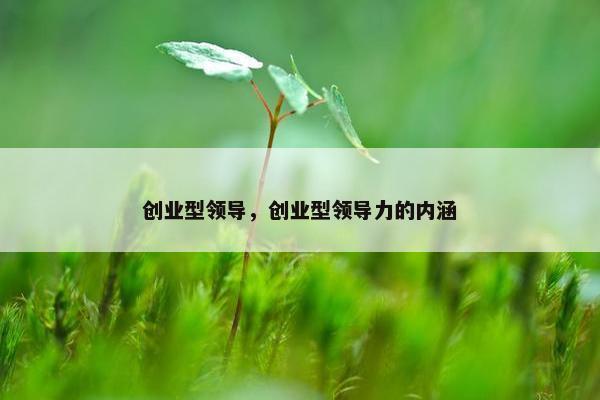 创业型领导，创业型领导力的内涵