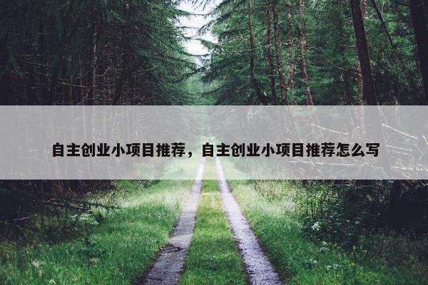 自主创业小项目推荐，自主创业小项目推荐怎么写