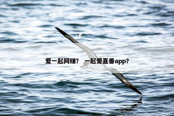 爱一起网赚？ 一起爱直番app？