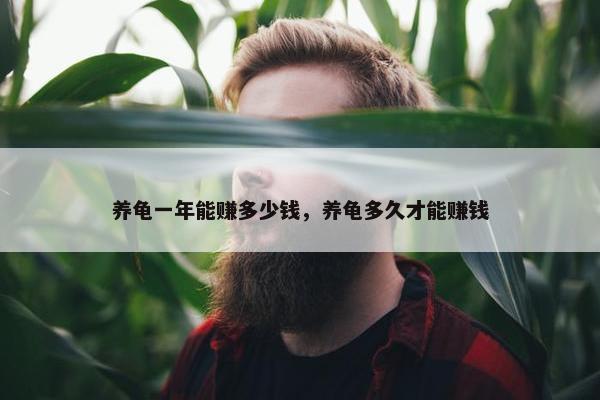 养龟一年能赚多少钱，养龟多久才能赚钱