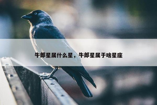 牛郎星属什么星，牛郎星属于啥星座