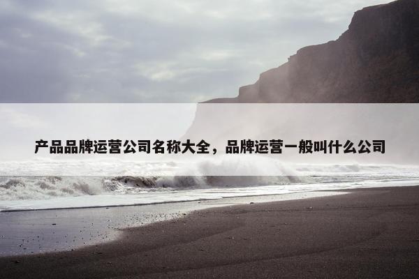 产品品牌运营公司名称大全，品牌运营一般叫什么公司