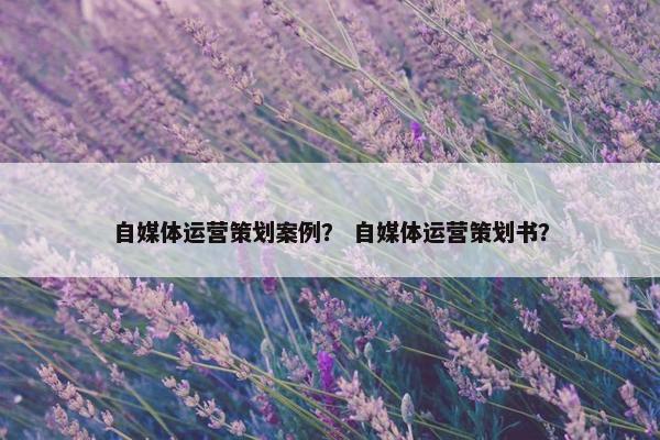 自媒体运营策划案例？ 自媒体运营策划书？
