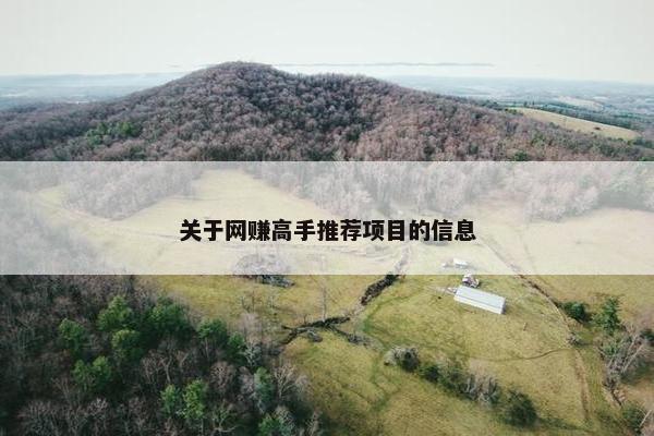 关于网赚高手推荐项目的信息