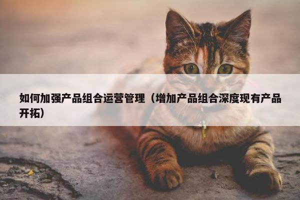 如何加强产品组合运营管理（增加产品组合深度现有产品开拓）