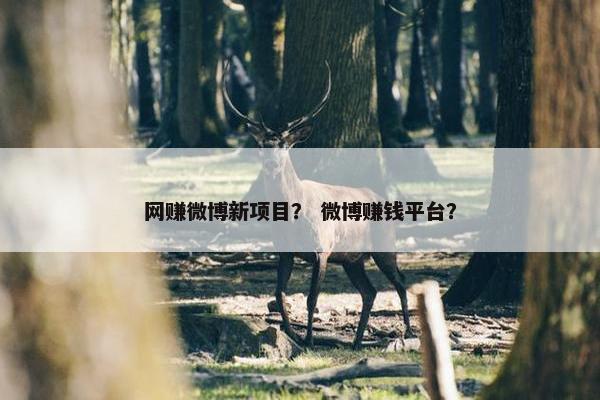 网赚微博新项目？ 微博赚钱平台？