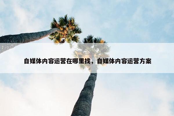 自媒体内容运营在哪里找，自媒体内容运营方案