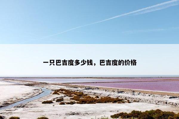 一只巴吉度多少钱，巴吉度的价格