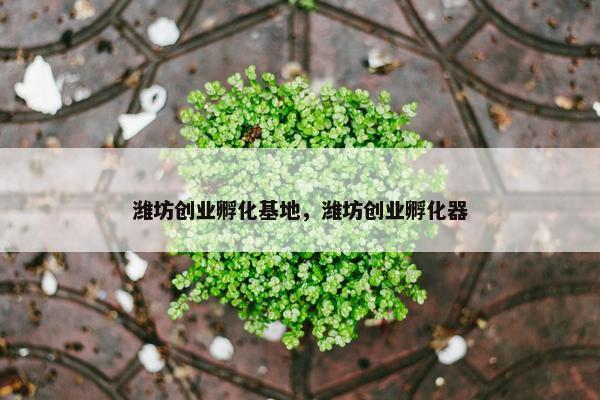 潍坊创业孵化基地，潍坊创业孵化器