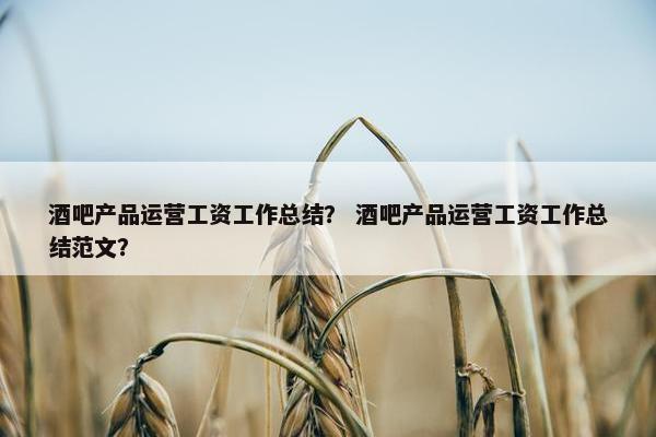 酒吧产品运营工资工作总结？ 酒吧产品运营工资工作总结范文？
