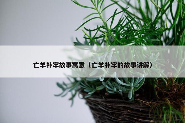 亡羊补牢故事寓意（亡羊补牢的故事讲解）