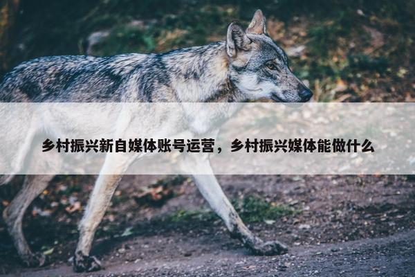 乡村振兴新自媒体账号运营，乡村振兴媒体能做什么