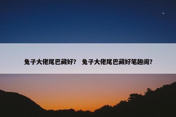 兔子大佬尾巴藏好？ 兔子大佬尾巴藏好笔趣阁？