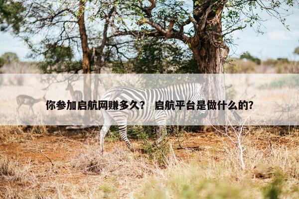 你参加启航网赚多久？ 启航平台是做什么的？