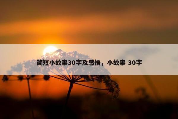 简短小故事30字及感悟，小故事 30字