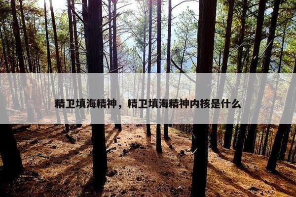 精卫填海精神，精卫填海精神内核是什么