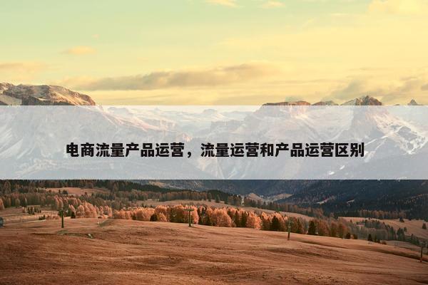 电商流量产品运营，流量运营和产品运营区别
