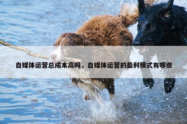 自媒体运营总成本高吗，自媒体运营的盈利模式有哪些