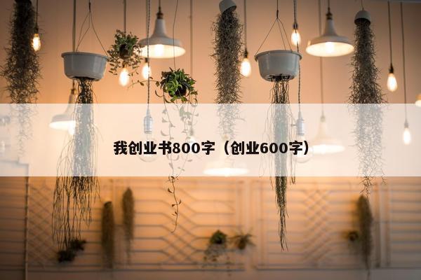 我创业书800字（创业600字）