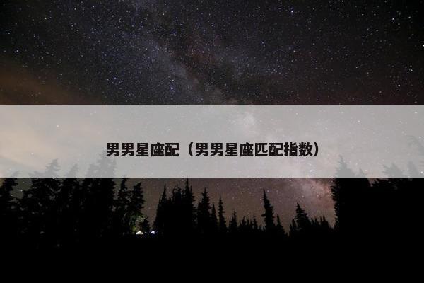 男男星座配（男男星座匹配指数）