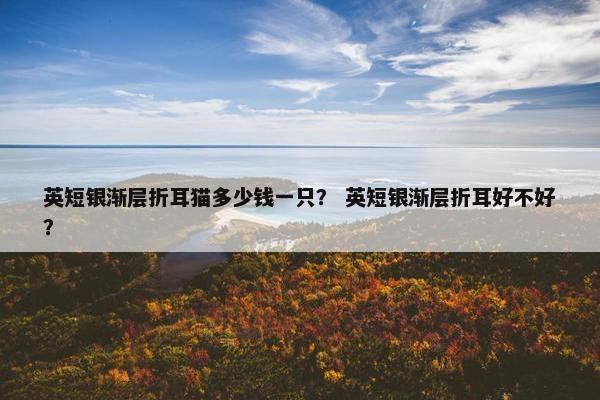 英短银渐层折耳猫多少钱一只？ 英短银渐层折耳好不好？