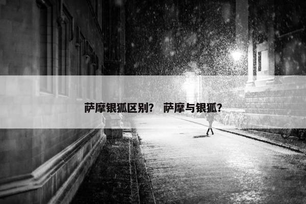 萨摩银狐区别？ 萨摩与银狐？
