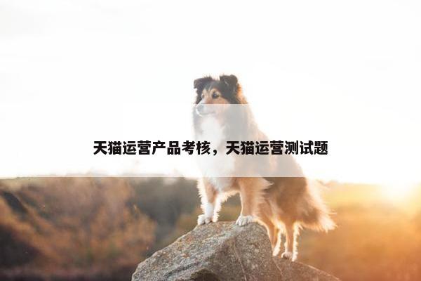 天猫运营产品考核，天猫运营测试题