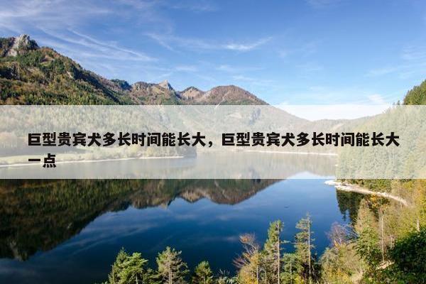 巨型贵宾犬多长时间能长大，巨型贵宾犬多长时间能长大一点