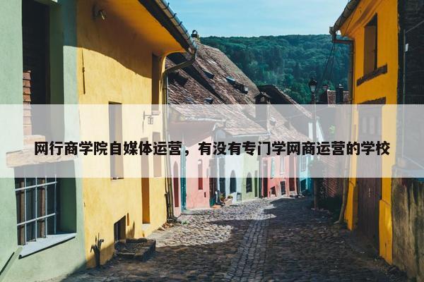 网行商学院自媒体运营，有没有专门学网商运营的学校