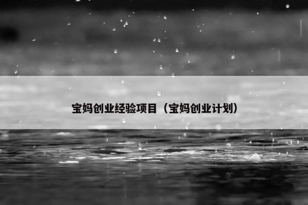 宝妈创业经验项目（宝妈创业计划）