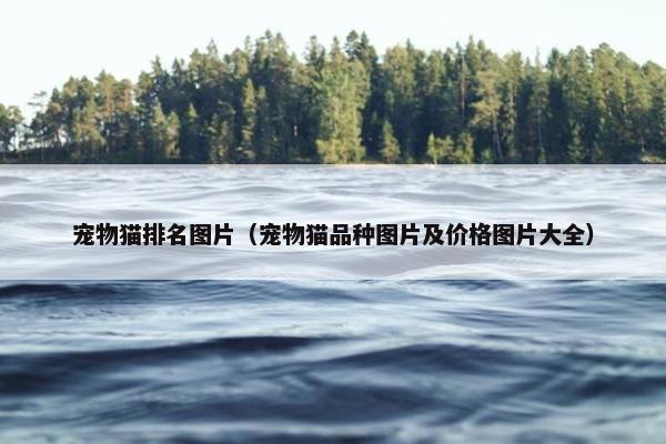 宠物猫排名图片（宠物猫品种图片及价格图片大全）