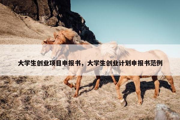 大学生创业项目申报书，大学生创业计划申报书范例
