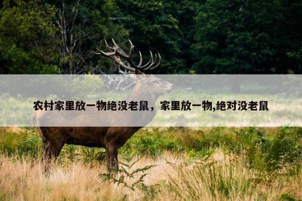 农村家里放一物绝没老鼠，家里放一物,绝对没老鼠