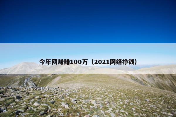 今年网赚赚100万（2021网络挣钱）