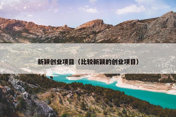 新颖创业项目（比较新颖的创业项目）