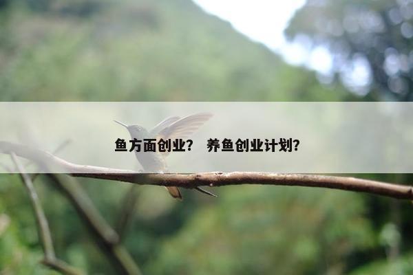 鱼方面创业？ 养鱼创业计划？