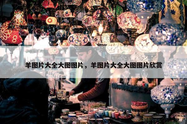 羊图片大全大图图片，羊图片大全大图图片欣赏
