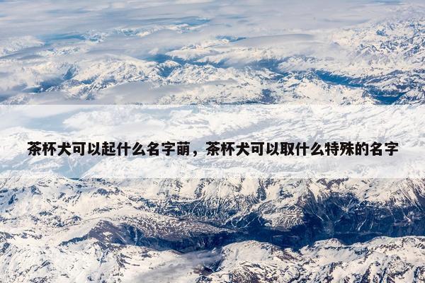 茶杯犬可以起什么名字萌，茶杯犬可以取什么特殊的名字