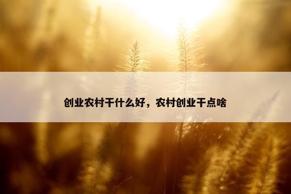 创业农村干什么好，农村创业干点啥