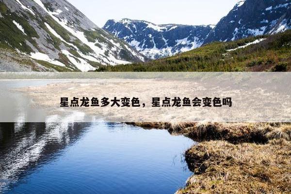 星点龙鱼多大变色，星点龙鱼会变色吗