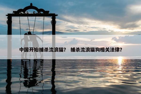 中国开始捕杀流浪猫？ 捕杀流浪猫狗相关法律？
