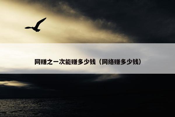 网赚之一次能赚多少钱（网络赚多少钱）