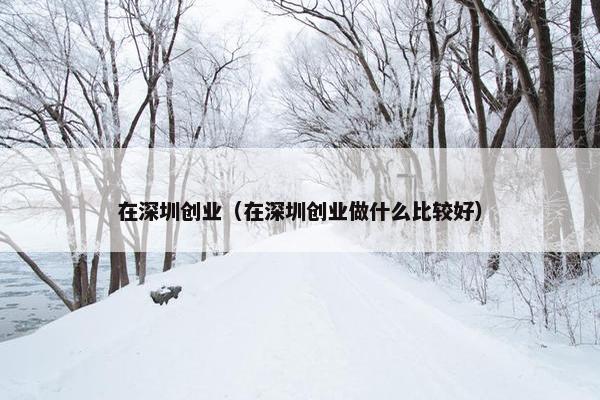 在深圳创业（在深圳创业做什么比较好）